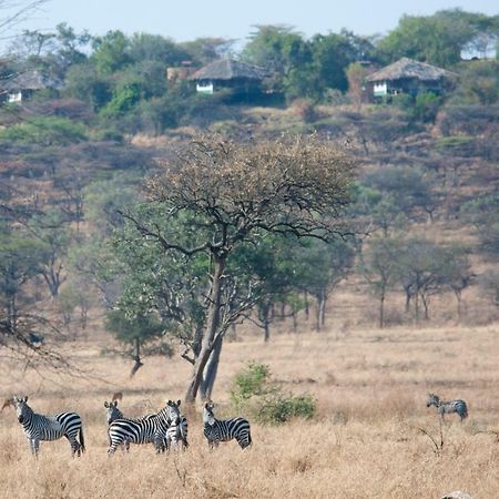 Mbalageti Serengeti Extérieur photo